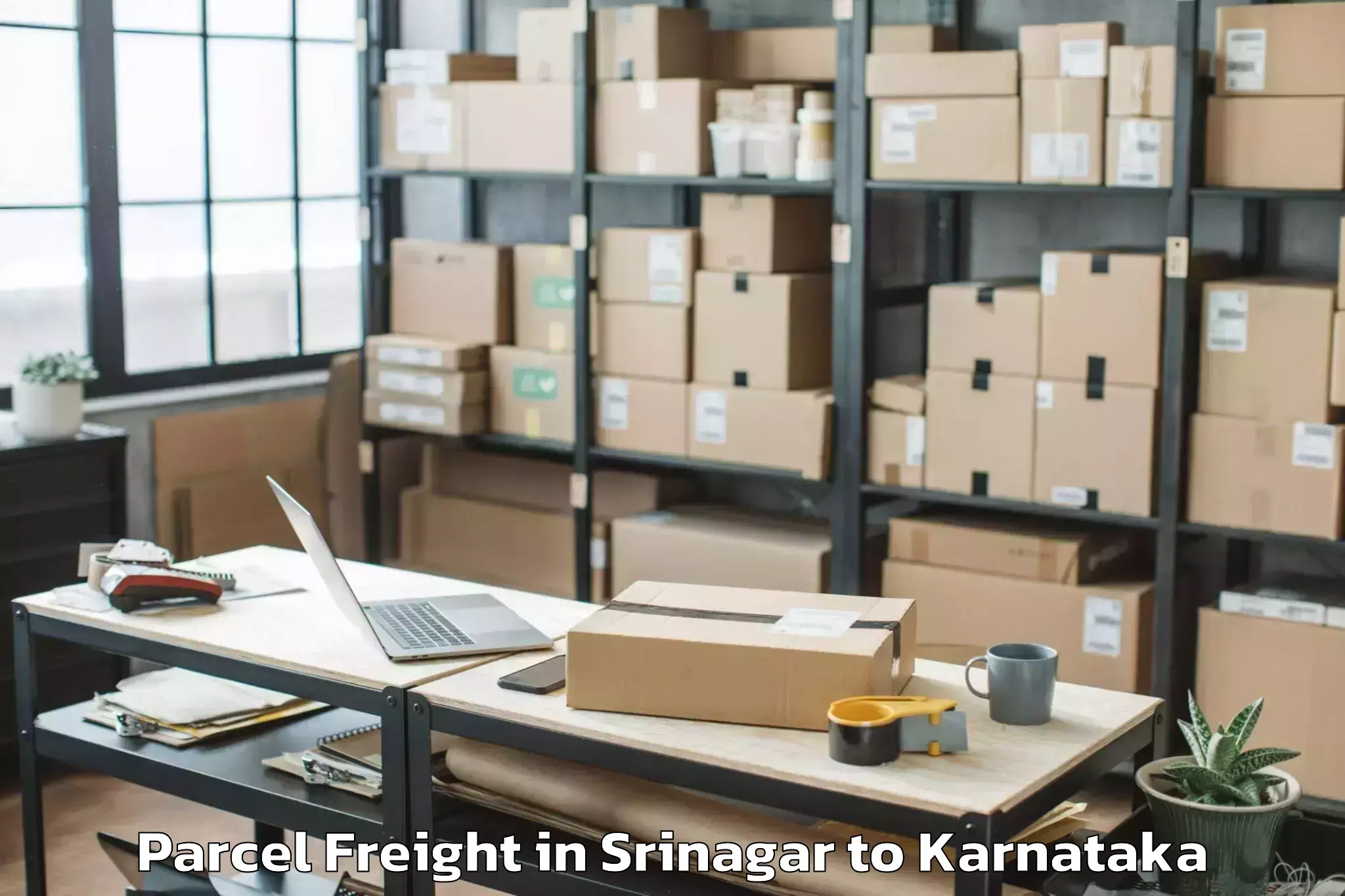 Book Srinagar to Manvi Parcel Freight